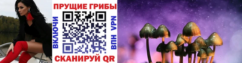 купить  цена  Ревда  Галлюциногенные грибы MAGIC MUSHROOMS 